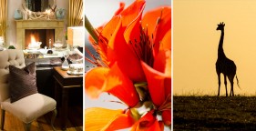 Hotel photography of Miarestate, Eastern Cape