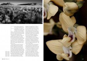 Magazine photography, Create Photography, Garden Route, South Africa