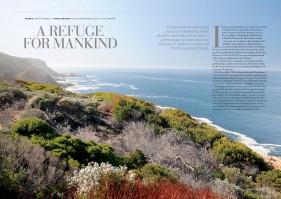 environmental photographer, western cape, raquel stephenson