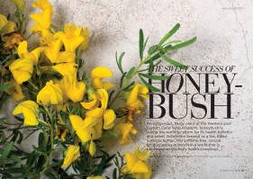 environmental photographer, western cape, raquel stephenson