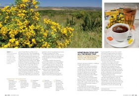 environmental photographer, western cape, raquel stephenson