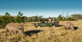 Colin Stephenson , Gondwana Game Reserve, Garden Route