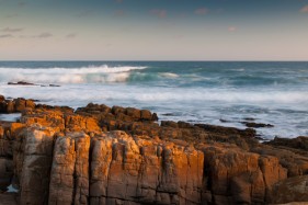 nature photographer, garden route