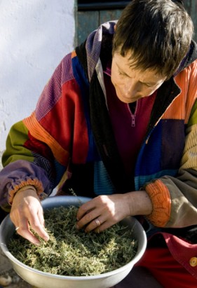 Portrait photographer, George, Garden Route