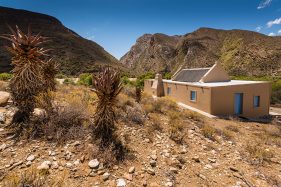 Cape Nature Photography