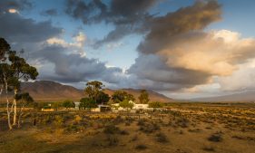 Cape Nature Photography
