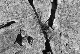 black and white landscape photography south africa