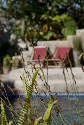 Video and photography of hotels and lodges, South Africa