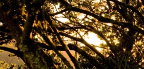 film and photography of hotels and lodges