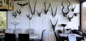 Video and photography of hotels and lodges, South Africa