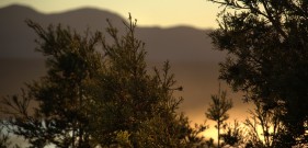 Grand Hotel photography plettenberg bay - Create Photography