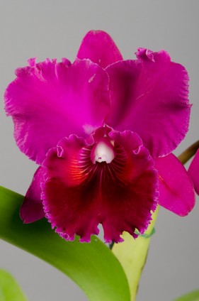 Create Photography, Professional photography studio, george, garden route