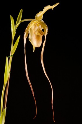 Professional photography studio garden route