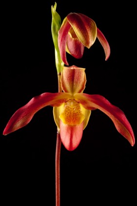 Professional photography studio garden route