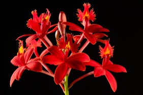 Product photographers, George, Garden Route