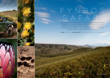 Magazine and editorial photography, Garden Route