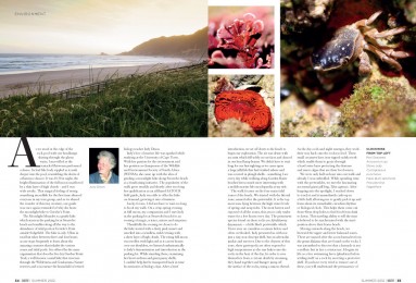 Magazine and editorial photography, Create Photography, Garden Route, South Africa