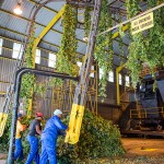 Agricultural photography