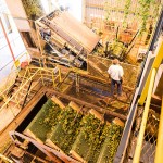 Agricultural photography