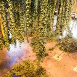 Agricultural photographer