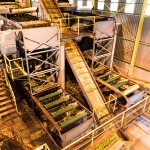 Agricultural photographer