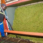 SAB hops farming photos