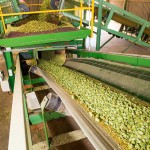 Agricultural photography