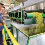 Agricultural photography