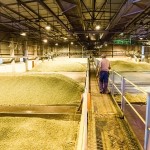 SAB hops farming photos