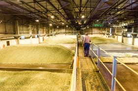 SAB hops farming photos