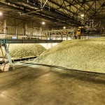 SAB hops farming photos