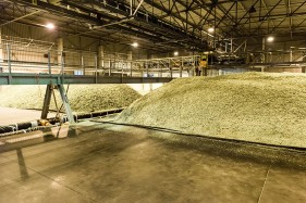 SAB hops farming photos