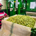 Agricultural photographer