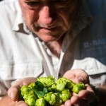 SAB Hops Farms Photography Garden Route