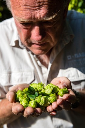 SAB Hops Farms Photography Garden Route