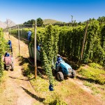 Agricultural photography