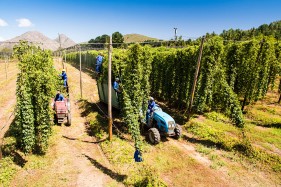 Agricultural photography