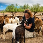 Karoo Goat Farmer