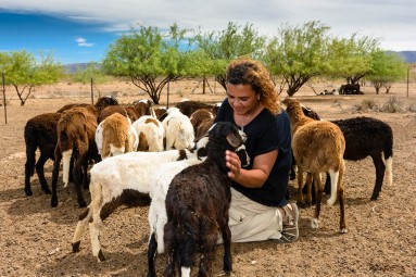 Karoo Goat Farmer