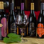 South African Vineyards