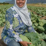 Vegetable farmers South Africa
