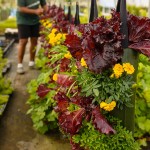 Agriculture Photography