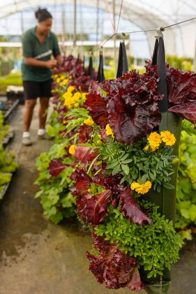 Agriculture Photography