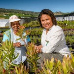 Farming coffee table book
