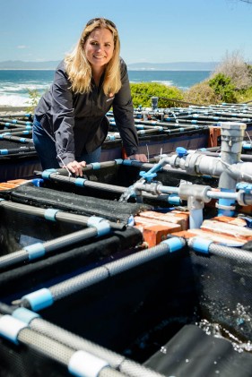 aqunion abalone farming