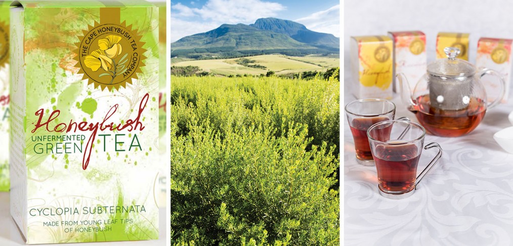 Cape Honeybush Tea packaging