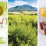 Cape Honeybush Tea packaging