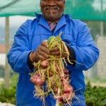 Community gardens South Africa