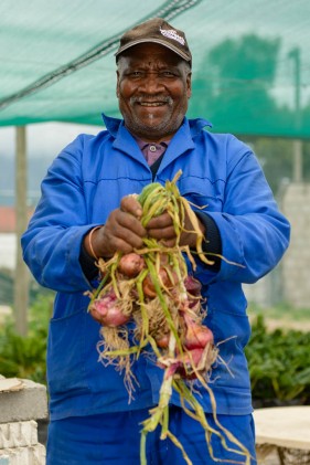 Community gardens South Africa