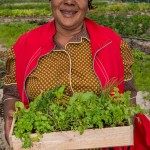 Community gardens South Africa